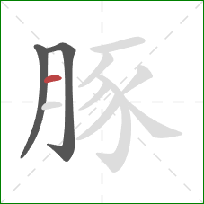 豚的笔顺第3画:横 豚的笔顺第3画:横