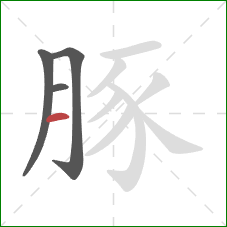 豚的笔顺第4画:横 豚的笔顺第4画:横