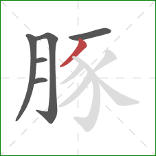 豚的笔顺第6画:撇 豚的笔顺第6画:撇