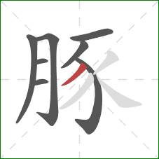 豚的笔顺第8画:撇 豚的笔顺第8画:撇