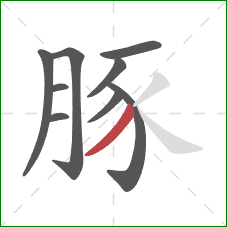 豚的笔顺第9画:撇 豚的笔顺第9画:撇