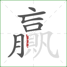 贏的笔顺第11画:竖 贏的笔顺第11画:竖