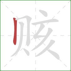 赅的笔顺第1画:竖 赅的笔顺第1画:竖