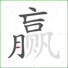 赢的笔顺第10画：横