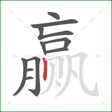 赢的笔顺第11画：竖