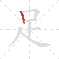 足的笔顺第1画:竖 足的笔顺第1画:竖