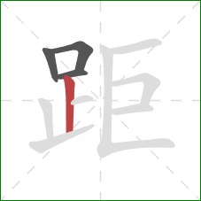 距的笔顺第4画：竖