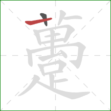 躉的笔顺第2画:横 躉的笔顺第2画:横