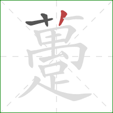 躉的笔顺第3画:竖 躉的笔顺第3画:竖