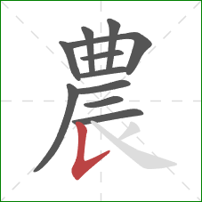 農的笔顺第11画：竖提