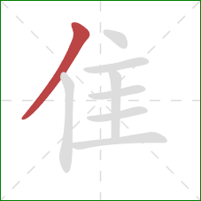 隹的笔顺第1画:撇 隹的笔顺第1画:撇