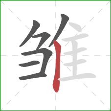 雏的笔顺第7画:竖 雏的笔顺第7画:竖