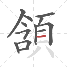 頷的笔顺第13画：横