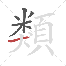 類的笔顺第7画:横 類的笔顺第7画:横