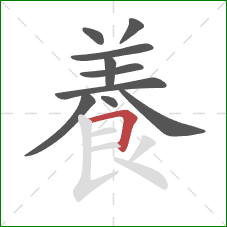 養的笔顺第10画：横