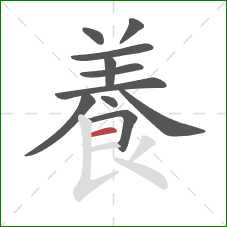 養的笔顺第11画：横