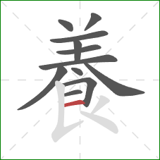 養的笔顺第12画：竖提