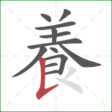 養的笔顺第13画：撇