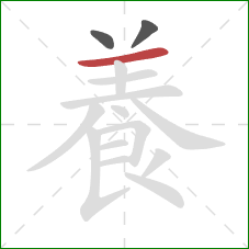 養的笔顺第3画：横