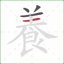 養的笔顺第4画：横