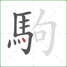 駒的笔顺第10画：点