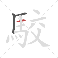 駮的笔顺第3画：横
