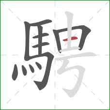 騁的笔顺第13画：横