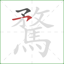 騖的笔顺第3画:横钩 騖的笔顺第3画:横钩