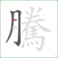 騰的笔顺第3画：横