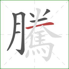 騰的笔顺第8画：横