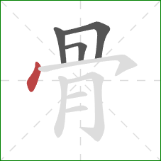 骨的笔顺第4画：点