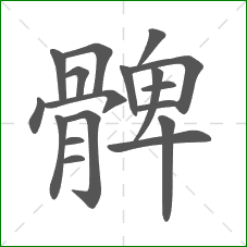 髀的部首 髀的部首