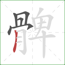 髀的笔顺第6画:竖 髀的笔顺第6画:竖