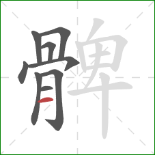 髀的笔顺第9画:横 髀的笔顺第9画:横