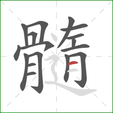 髓的笔顺第17画:横 髓的笔顺第17画:横