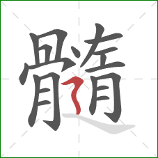 髓的笔顺第20画:横折折撇 髓的笔顺第20画:横折折撇