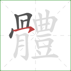 體的笔顺第6画:横钩 體的笔顺第6画:横钩