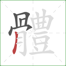 體的笔顺第7画:竖 體的笔顺第7画:竖