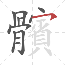 髕的笔顺第13画:横 髕的笔顺第13画:横