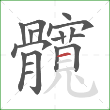 髖的笔顺第20画:横 髖的笔顺第20画:横