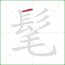 髦的笔顺第1画:横 髦的笔顺第1画:横