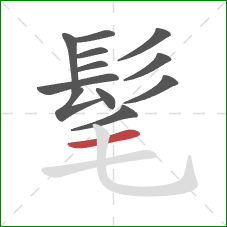 髦的笔顺第12画:横 髦的笔顺第12画:横