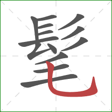 髦的笔顺第14画:竖弯钩 髦的笔顺第14画:竖弯钩