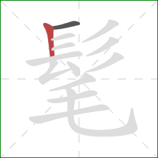 髦的笔顺第2画:竖 髦的笔顺第2画:竖