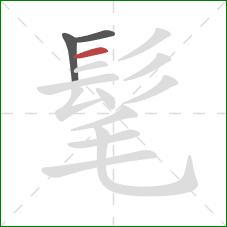 髦的笔顺第3画:横 髦的笔顺第3画:横