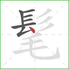 髦的笔顺第7画:点 髦的笔顺第7画:点