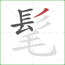 髦的笔顺第8画:撇 髦的笔顺第8画:撇