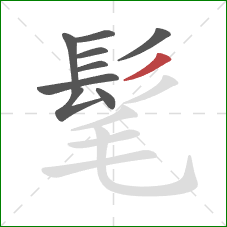 髦的笔顺第9画:撇 髦的笔顺第9画:撇