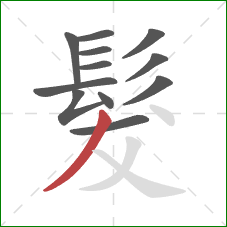 髮的笔顺第12画:撇 髮的笔顺第12画:撇