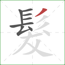 髮的笔顺第8画:撇 髮的笔顺第8画:撇